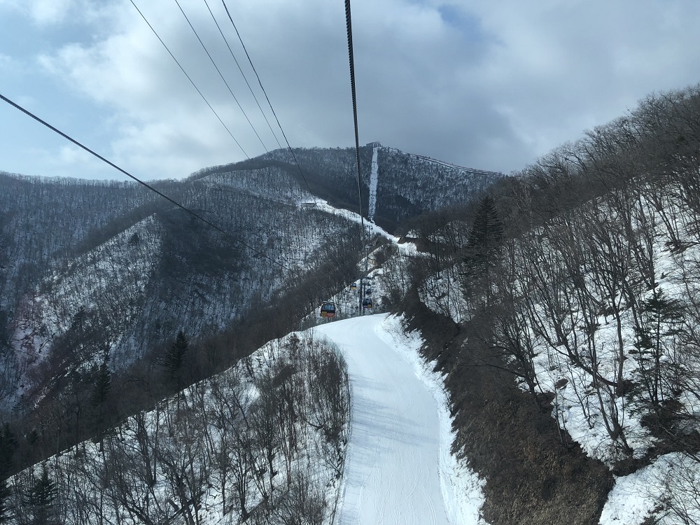 Rojak Daily The breathtaking view of the forests, which by the way, make up 82 per cent of Gangwon.